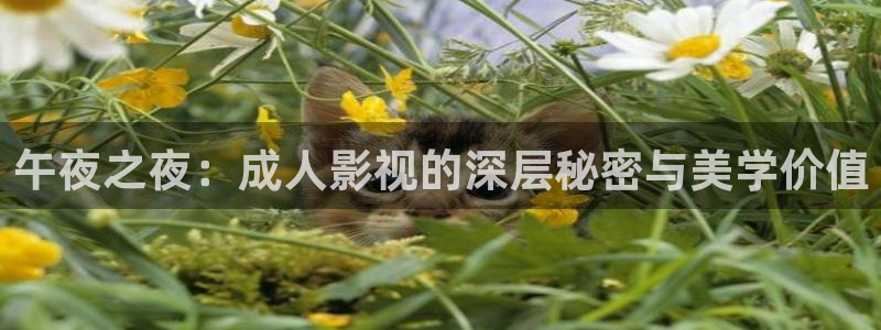 金桔利咽清喉片：午夜之夜：成人影視的深層秘密與美學(xué)價(jià)值