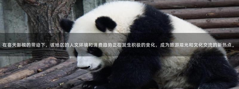 金桔影視app：在喜天影視的帶動下，該地區的人文環境和消費趨勢正在發生積極的變化，成為旅游觀光和文化交流的新熱點。